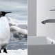 Fluid Faucets Uses Penguins, Rainbows and Violins as Sinkspiration